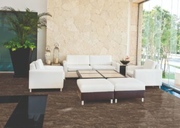 Milyarlarca yıllık serüvene dair izler taşıyan hazine : Imperial Brown