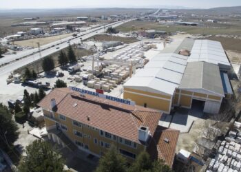 Grinin ve lilac damarların olağanüstü bileşimi: Mayy lilac grey